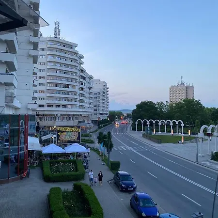 Panoramic With Balcony And Parcul Unirii View *