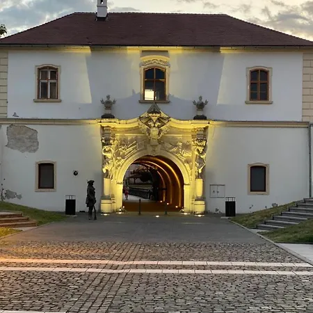 Panoramic With Balcony And Parcul Unirii View Apartment Alba Iulia