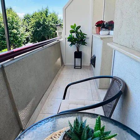 Panoramic With Balcony And Parcul Unirii View Apartment