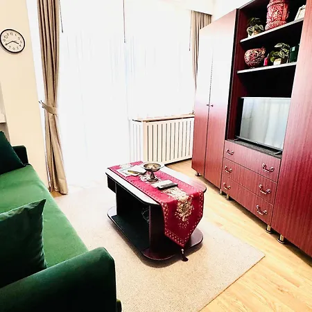 Panoramic With Balcony And Parcul Unirii View *
